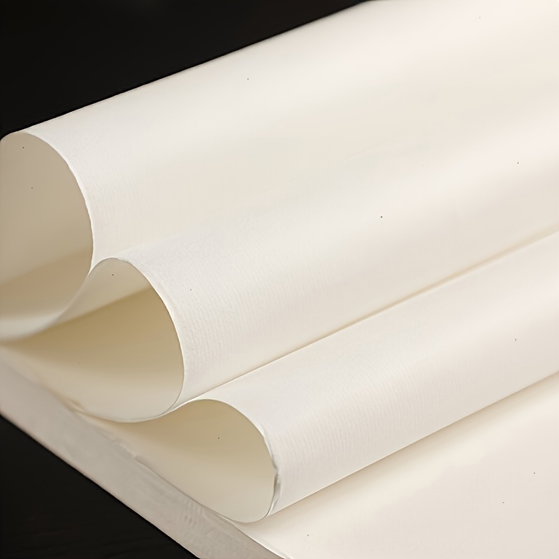 กระดาษข้าวสำหรับวาดภาพจีนแบบกึ - Ink Blotter Paper บทวิจารณ์และราคา